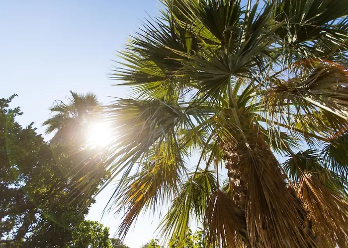 Stella Di Mare * Sainte-Lucie de Porto-Vecchio
